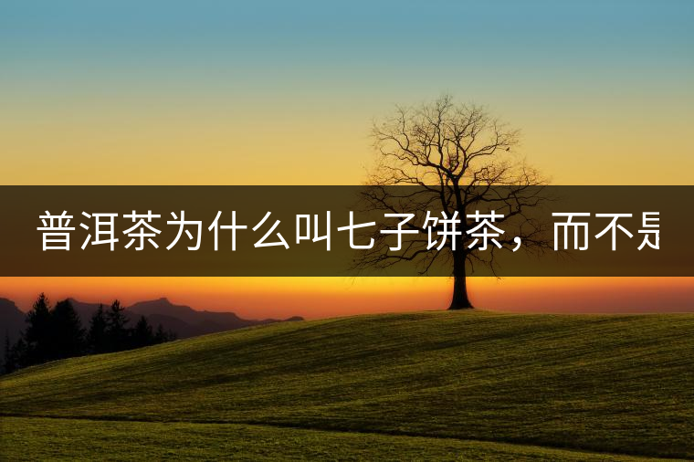 普洱茶為什么叫七子餅茶，而不是六子餅、八子餅......？