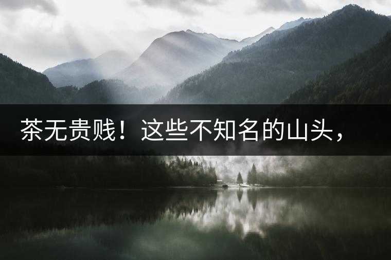 茶無貴賤！這些不知名的山頭，其實(shí)也產(chǎn)優(yōu)質(zhì)普洱茶！