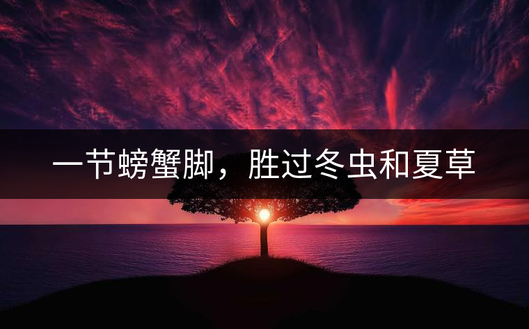 一節(jié)螃蟹腳，勝過冬蟲和夏草
