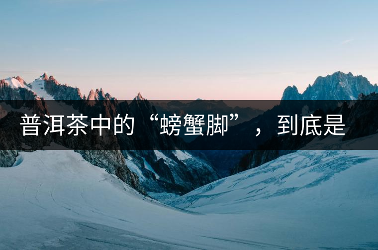 普洱茶中的“螃蟹腳”，到底是什么？如何辨別？