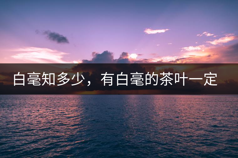 白毫知多少，有白毫的茶葉一定好嗎？