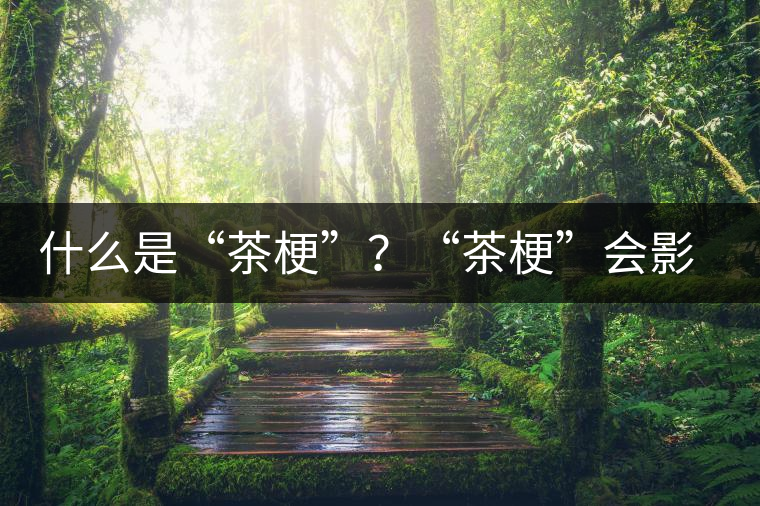 什么是“茶?！?？“茶?！睍?huì)影響普洱茶品質(zhì)？
