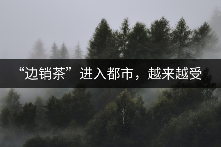 “邊銷茶”進入都市，越來越受人們青睞