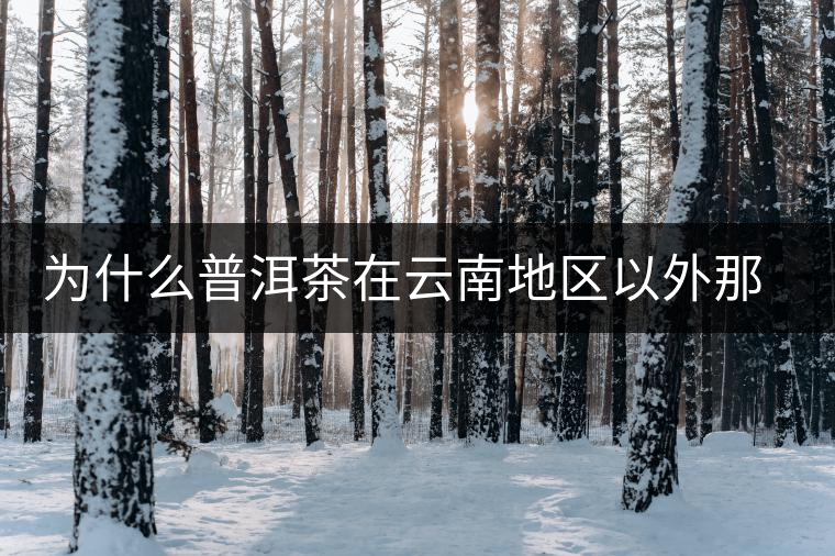 為什么普洱茶在云南地區(qū)以外那么受歡迎？