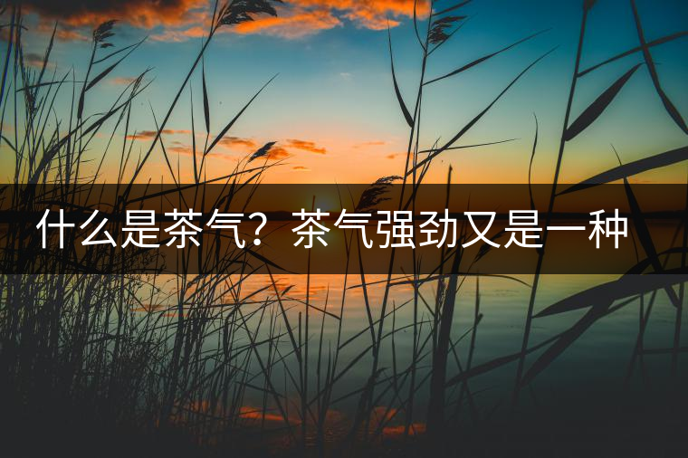 什么是茶氣？茶氣強(qiáng)勁又是一種怎樣的體驗？