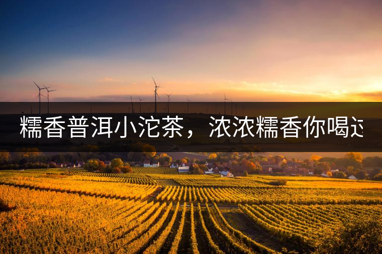 糯香普洱小沱茶，濃濃糯香你喝過嗎？