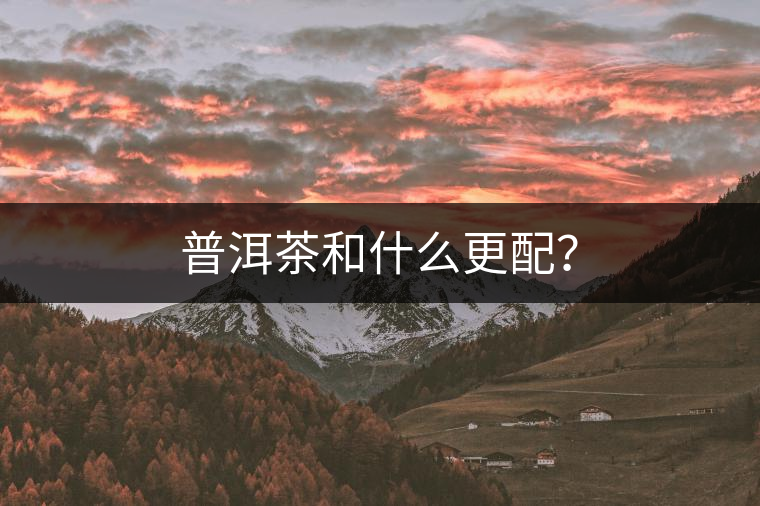 普洱茶和什么更配？