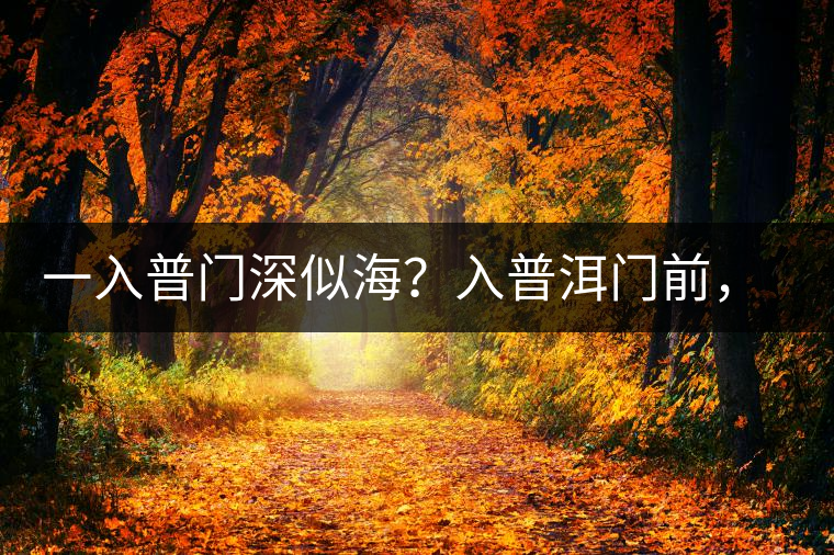 一入普門深似海？入普洱門前，你需要了解這些