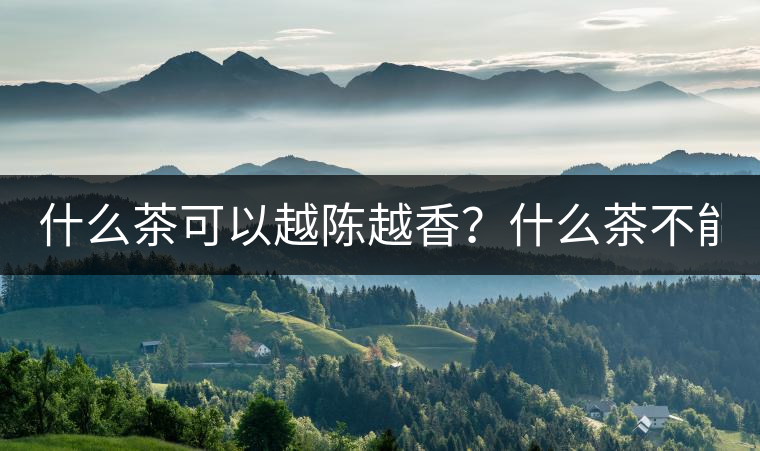 什么茶可以越陳越香？什么茶不能？