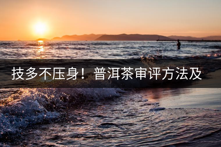 技多不壓身！普洱茶審評方法及專業(yè)術語大全（下）