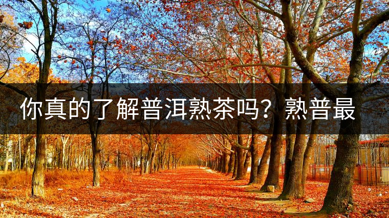 你真的了解普洱熟茶嗎？熟普最詳細(xì)的揭秘都在這里了。