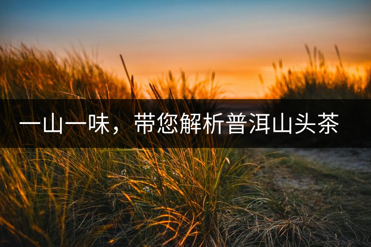 一山一味，帶您解析普洱山頭茶的密碼究竟是什么？