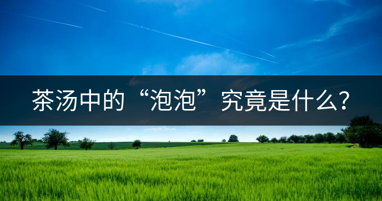 茶湯中的“泡泡”究竟是什么？