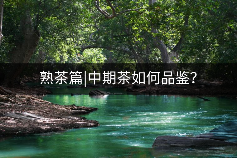 熟茶篇|中期茶如何品鑒? 熟茶篇|中期茶如何品鑒?