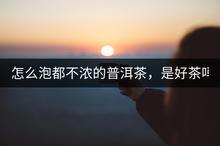 怎么泡都不濃的普洱茶，是好茶嗎？