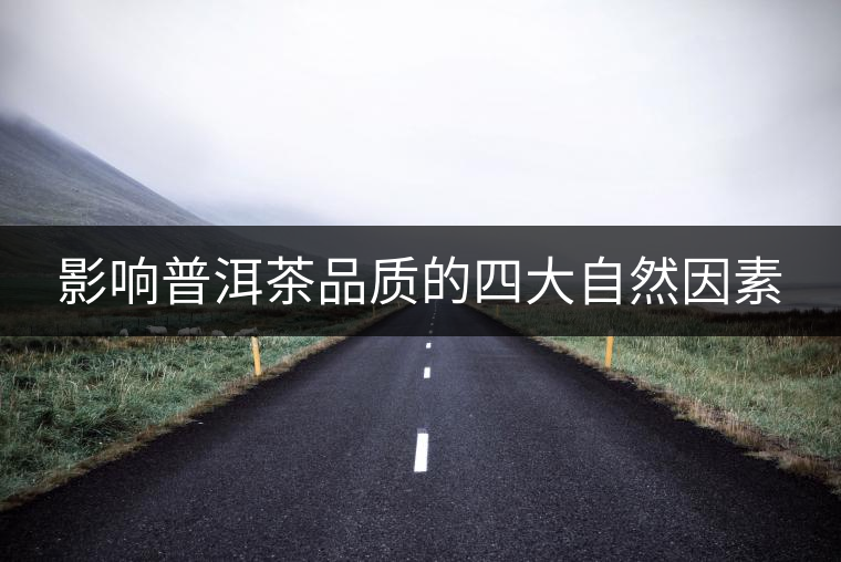 影響普洱茶品質的四大自然因素