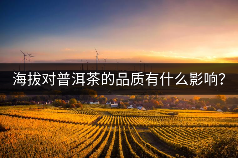 海拔對普洱茶的品質(zhì)有什么影響？