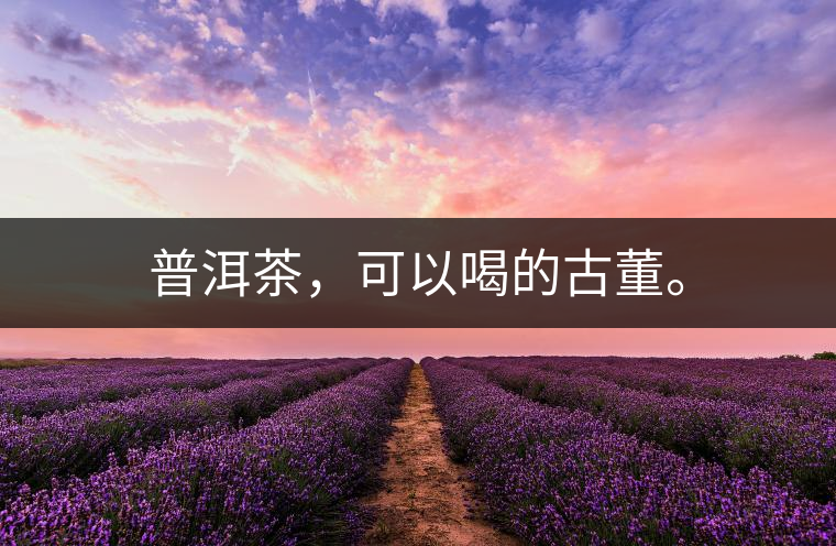 普洱茶，可以喝的古董。