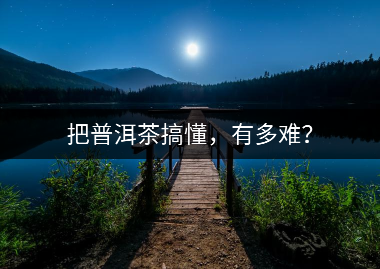 把普洱茶搞懂，有多難？