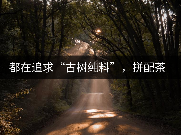 都在追求“古樹純料”，拼配茶真的不如純料的？