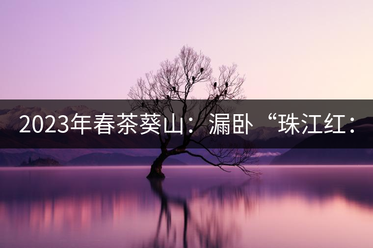 2023年春茶葵山：漏臥“珠江紅：1200元-3200元（有3個(gè)檔次）漏臥“大廠茶”：古樹(shù)單株8600-9000元／公斤，中樹(shù)4800-5200元／公斤，小樹(shù)混采2600-2800元／公斤。