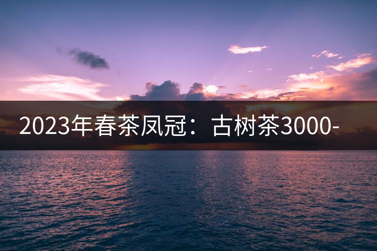 2023年春茶鳳冠:古樹茶3000-5000元/公斤 2023年春茶鳳冠:古樹茶3000-5000元/公斤