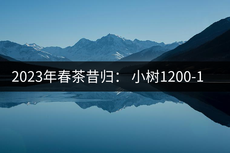 2023年春茶昔歸： 小樹1200-1600元／公斤，大樹4500-5200元／公斤，古樹7500-9000元／公斤.