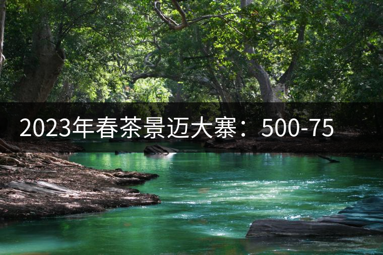 2023年春茶景邁大寨：500-750元／公斤