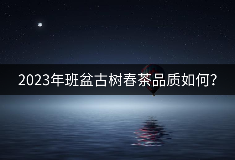 2023年班盆古樹(shù)春茶品質(zhì)如何？