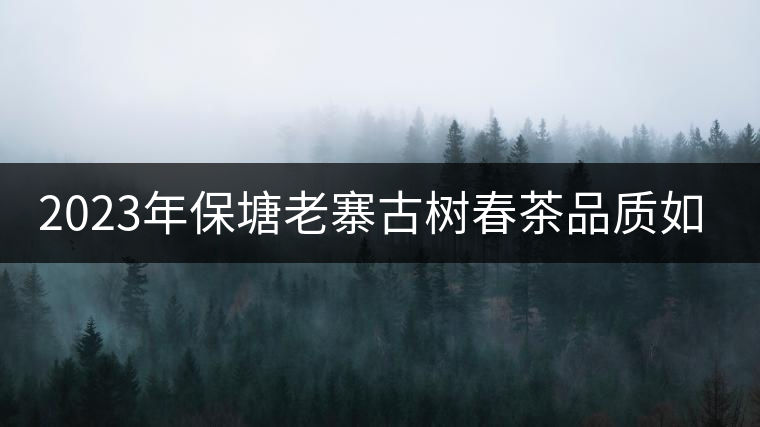 2023年保塘老寨古樹春茶品質(zhì)如何？