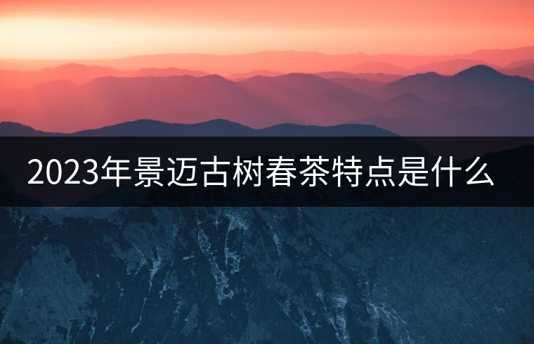 2023年景邁古樹春茶特點(diǎn)是什么? 2023年景邁古樹春茶特點(diǎn)是什么?