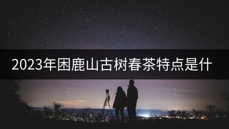 2023年困鹿山古樹春茶特點是什么？
