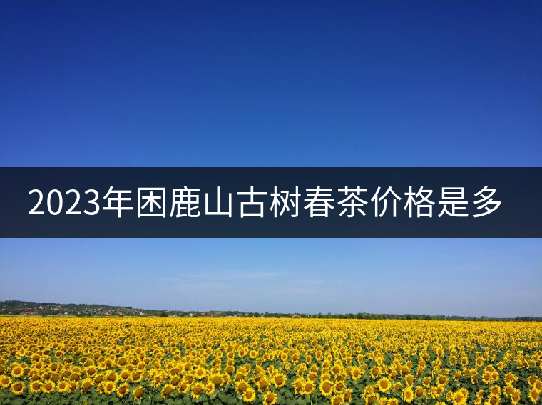 2023年困鹿山古樹春茶價格是多少？