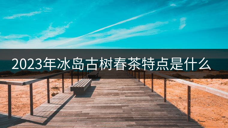 2023年冰島古樹(shù)春茶特點(diǎn)是什么？