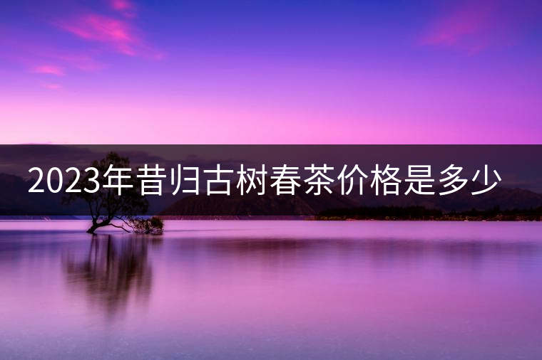 2023年昔歸古樹(shù)春茶價(jià)格是多少？