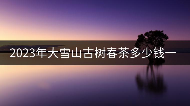 2023年大雪山古樹春茶多少錢一公斤？