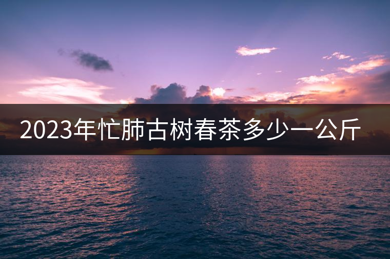2023年忙肺古樹春茶多少一公斤？