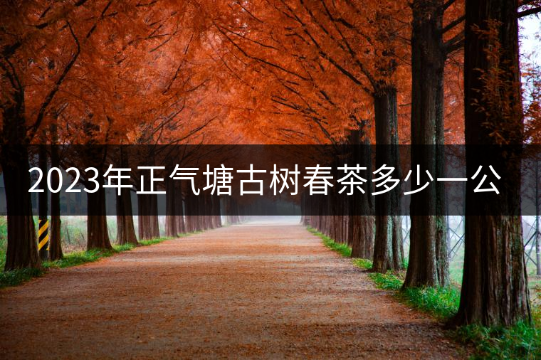 2023年正氣塘古樹春茶多少一公斤？