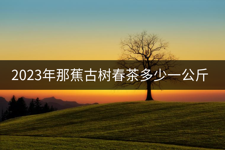 2023年那蕉古樹春茶多少一公斤？