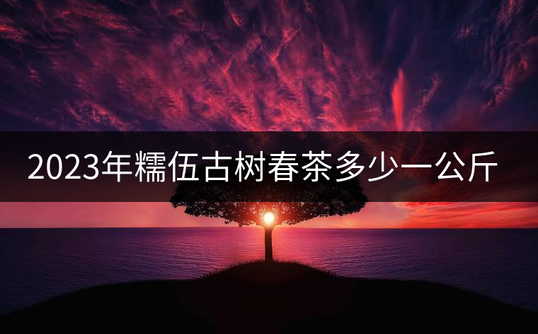 2023年糯伍古樹春茶多少一公斤？