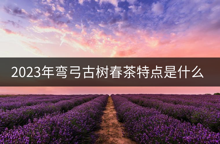 2023年彎弓古樹春茶特點是什么？