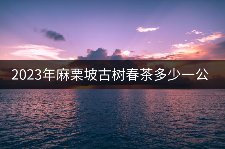 2023年麻栗坡古樹(shù)春茶多少一公斤？