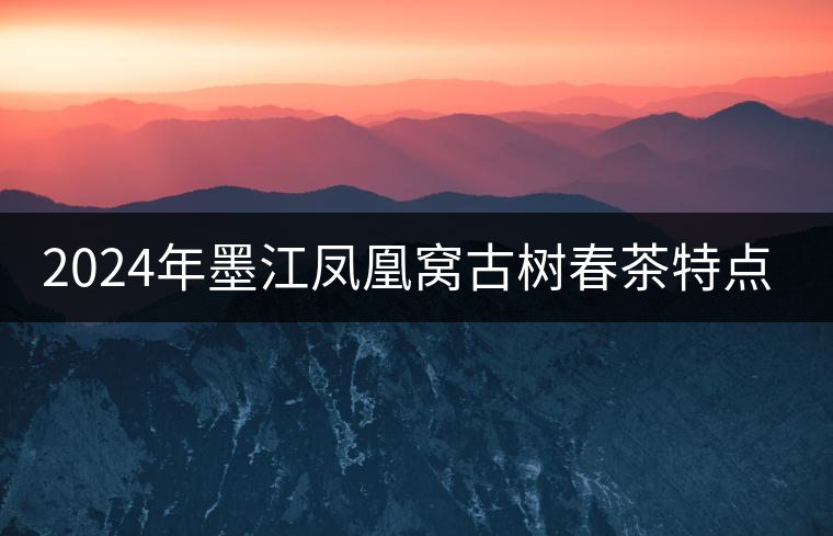 2024年墨江鳳凰窩古樹春茶特點是什么？