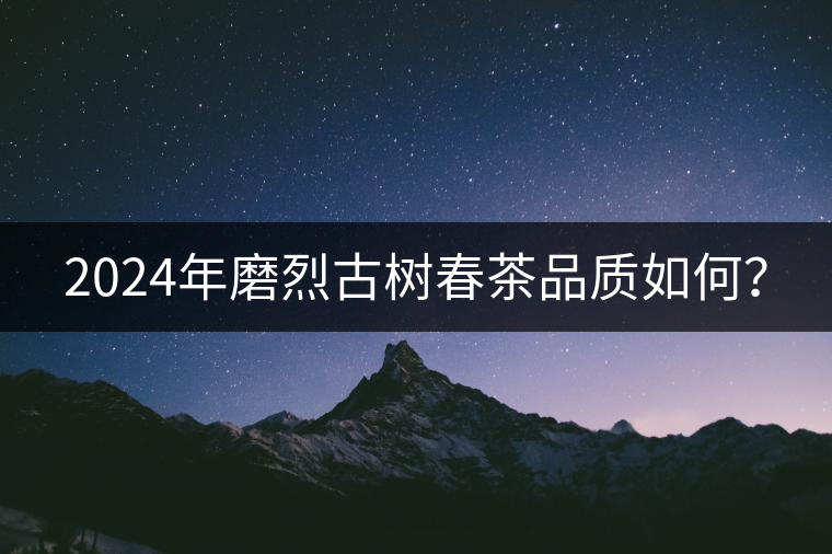 2024年磨烈古樹春茶品質(zhì)如何？