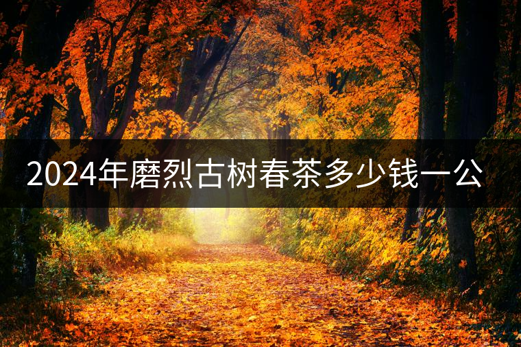 2024年磨烈古樹春茶多少錢一公斤？