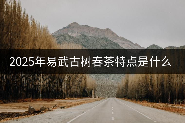 2025年易武古樹春茶特點(diǎn)是什么？