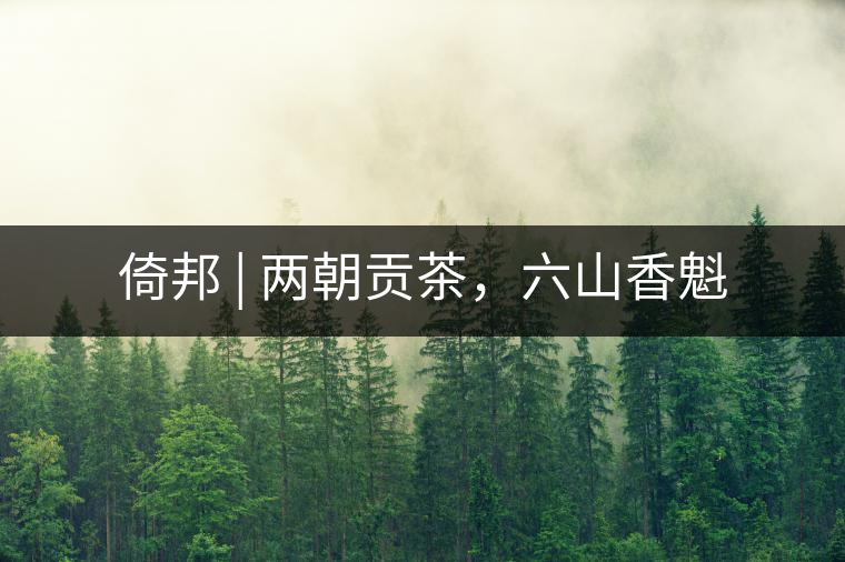 倚邦 | 兩朝貢茶,六山香魁 倚邦 | 兩朝貢茶,六山香魁