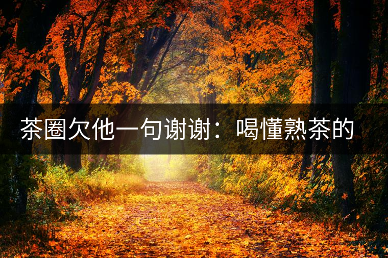 茶圈欠他一句謝謝：喝懂熟茶的人，都該記住陳佩仁這個(gè)名字