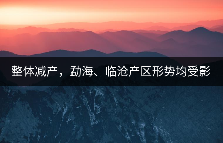 整體減產(chǎn)，勐海、臨滄產(chǎn)區(qū)形勢均受影響