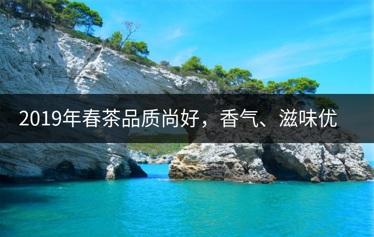 2019年春茶品質(zhì)尚好，香氣、滋味優(yōu)于去年